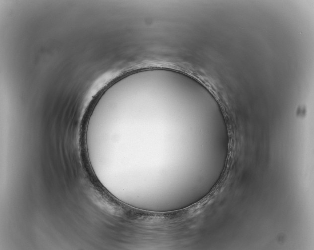 X0000092050104200709121033