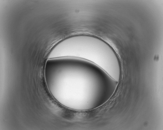 X0000092050105200709121033