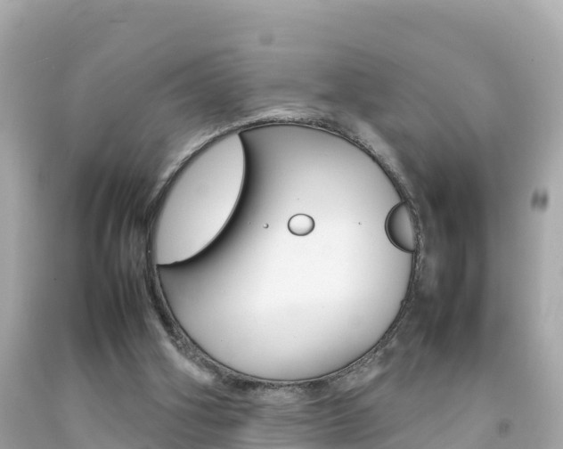 X0000092050106200709121033