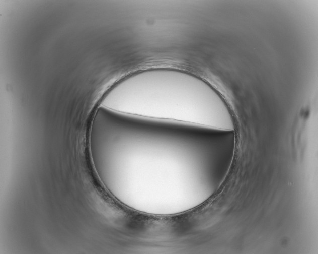 X0000092050107200709121033