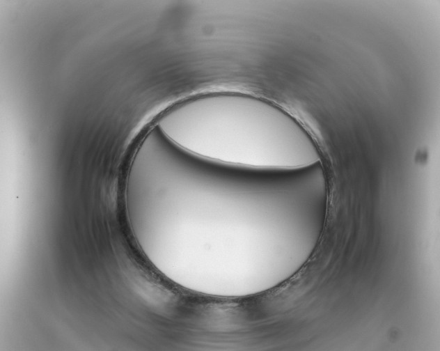 X0000092050108200709121033