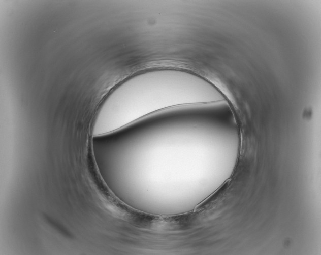 X0000092050109200709121033