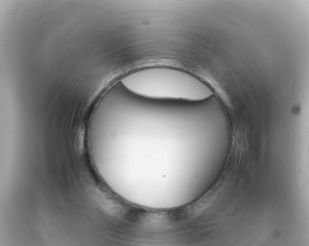 X0000092050110200709121033