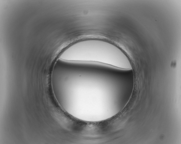 X0000092050111200709121033