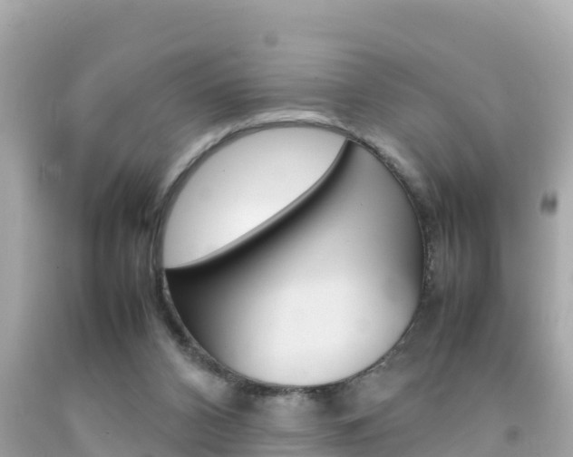 X0000092050112200709121033