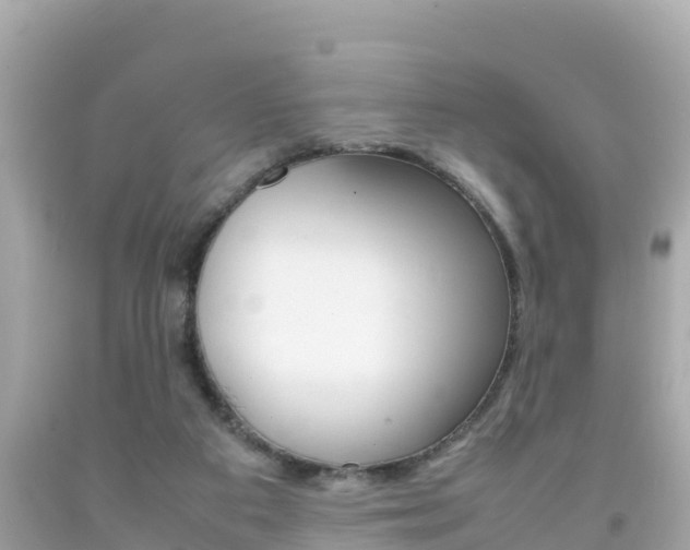 X0000092050113200709121033