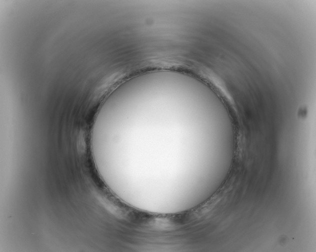 X0000092050114200709121033