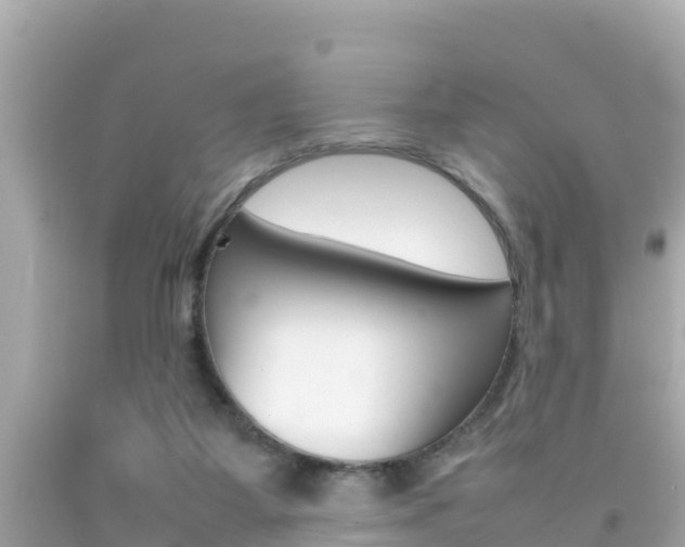 X0000092050115200709121033