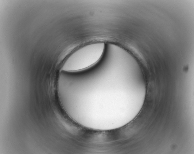 X0000092050116200709121033