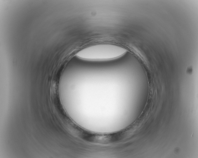 X0000092050117200709121033