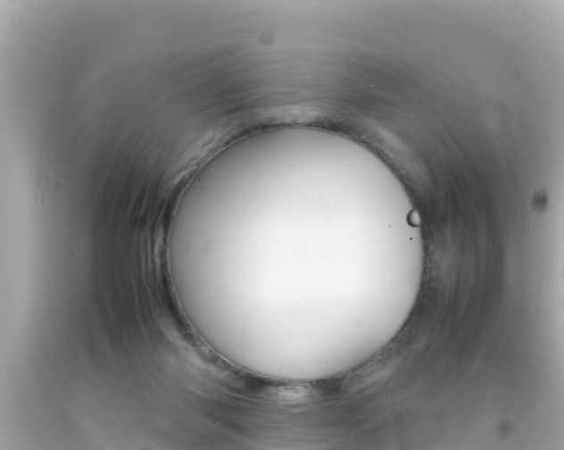 X0000092050118200709121033