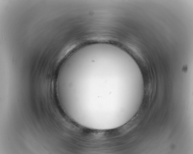 X0000092050120200709121033