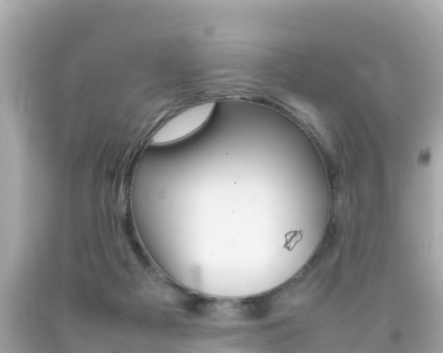 X0000092050121200709121033