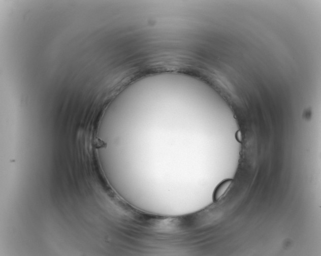 X0000092050122200709121033