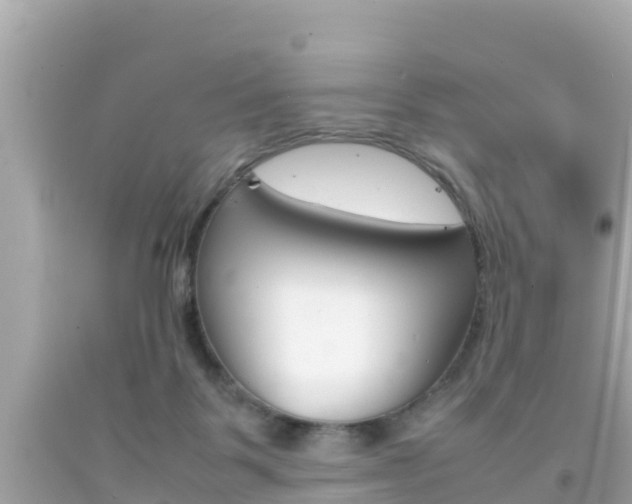 X0000092050123200709121033