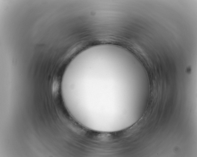 X0000092050124200709121033