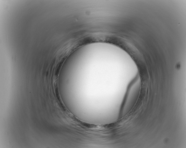 X0000092050125200709121033