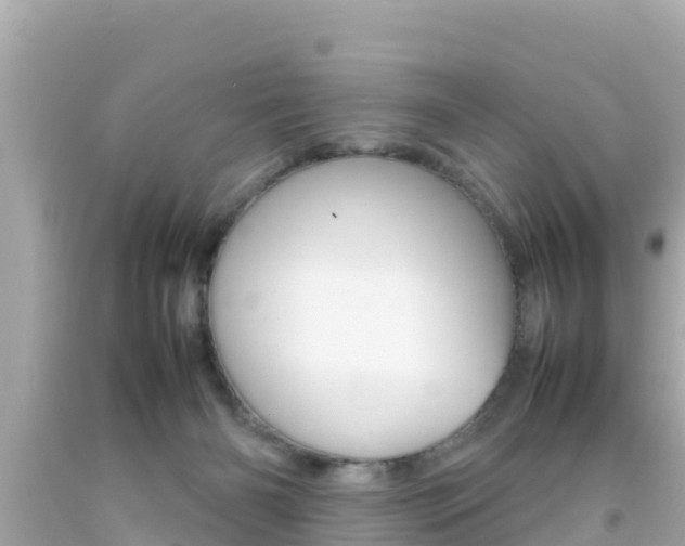 X0000092050126200709121033