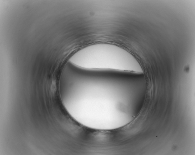 X0000092050128200709121033