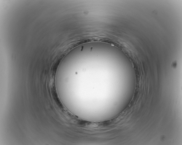 X0000092050129200709121033