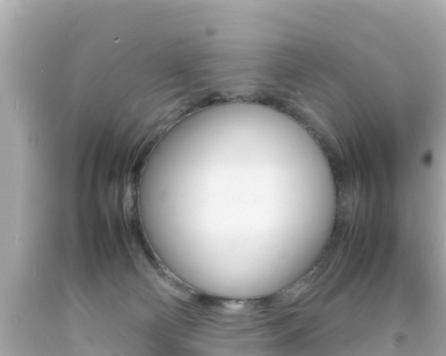 X0000092050130200709121033