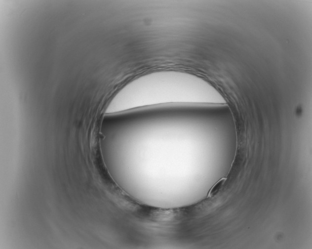 X0000092050131200709121033