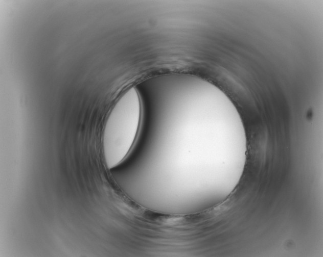 X0000092050132200709121033