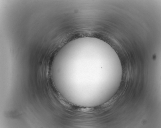 X0000092050134200709121033