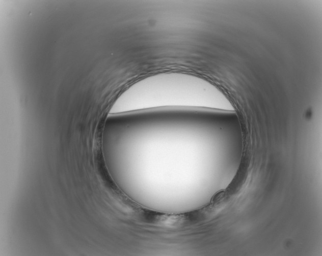 X0000092050135200709121033