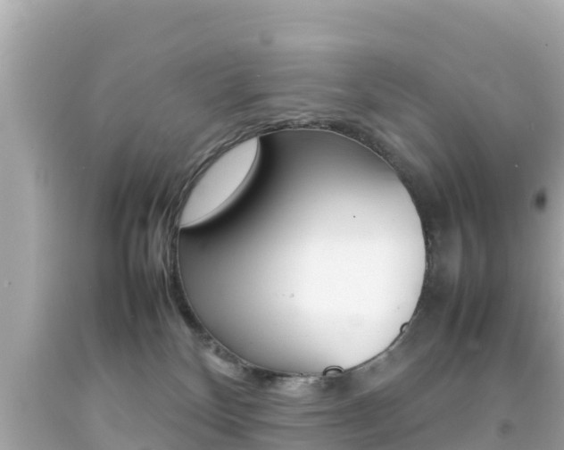 X0000092050136200709121033