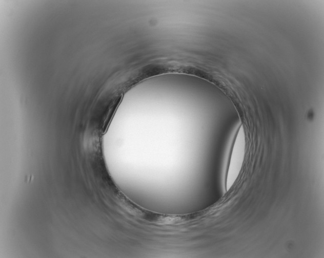 X0000092050137200709121033