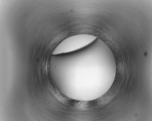 X0000092050138200709121033