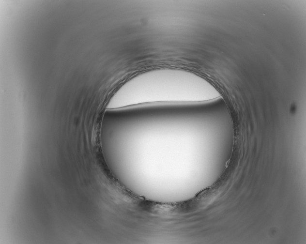 X0000092050139200709121033