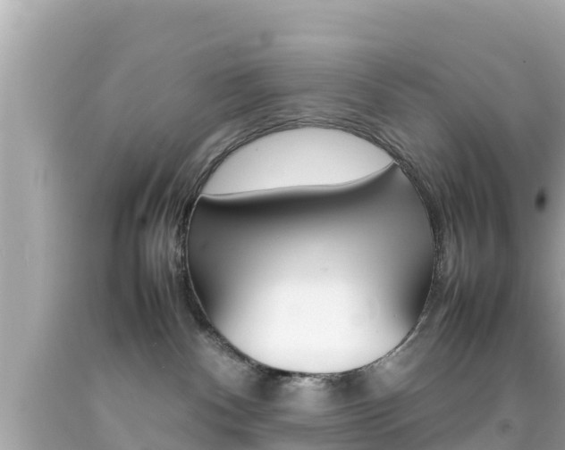 X0000092050140200709121033