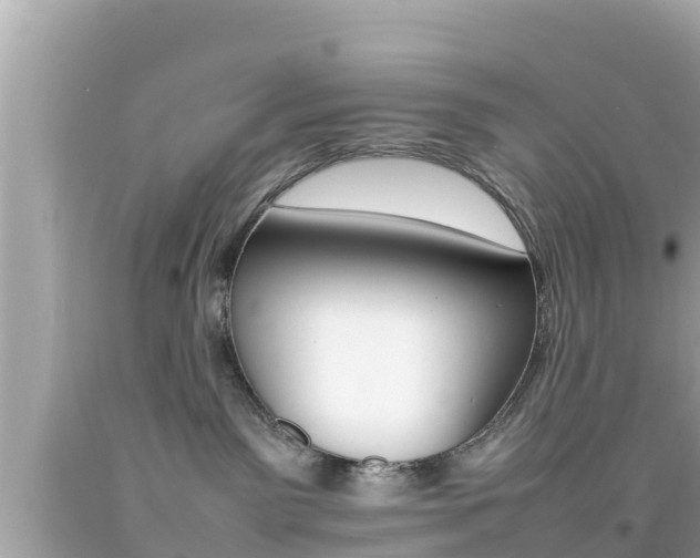 X0000092050141200709121033