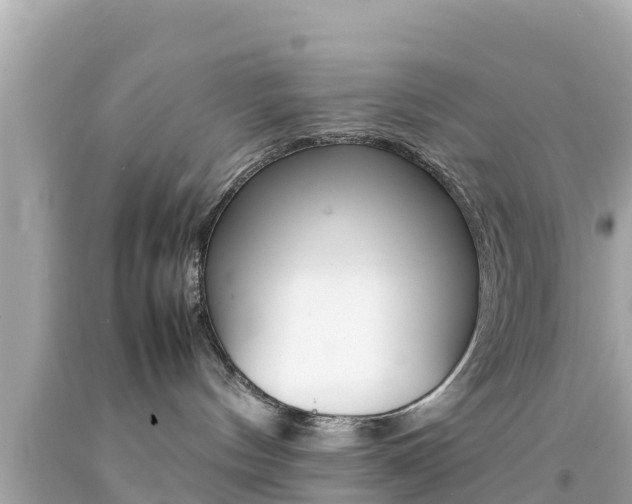 X0000092050144200709121033