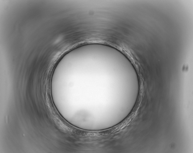 X0000092050145200709121032