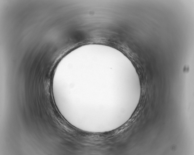 X0000092050146200709121032