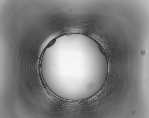 X0000092050147200709121032