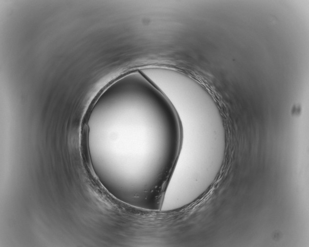 X0000092050148200709121032