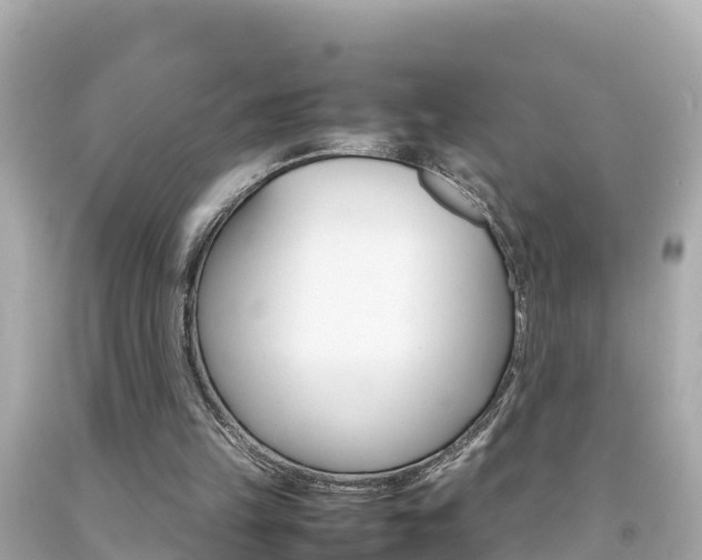 X0000092050149200709121032