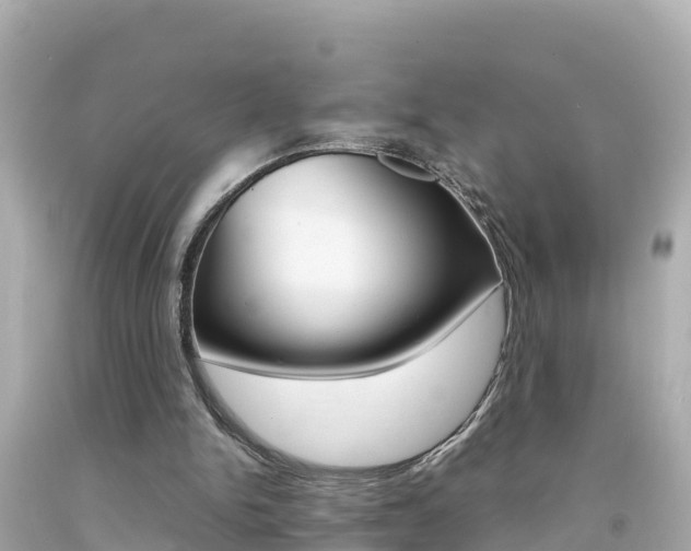 X0000092050150200709121032