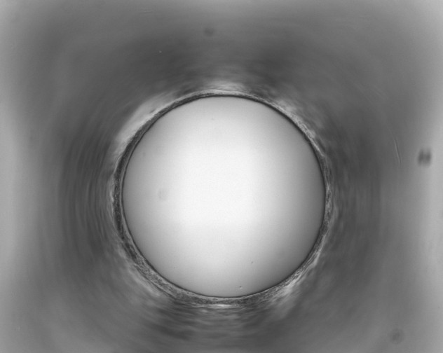 X0000092050151200709121032