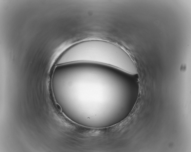 X0000092050152200709121032