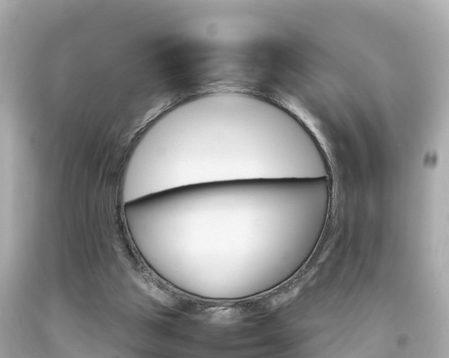 X0000092050153200709121032