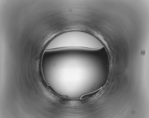 X0000092050154200709121032