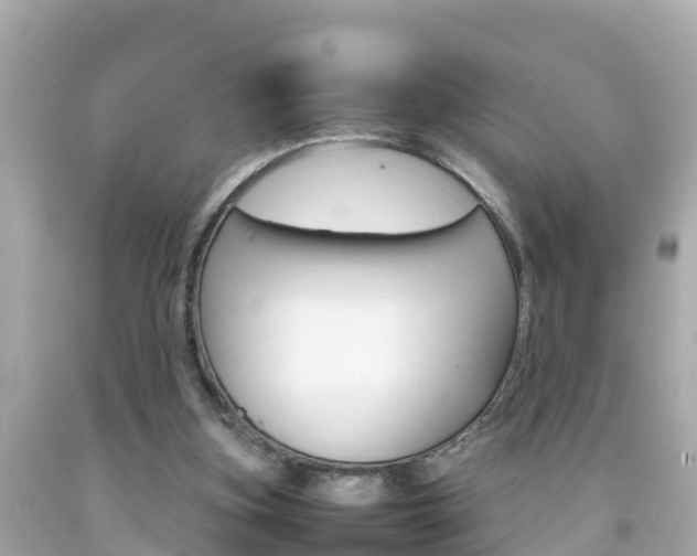 X0000092050155200709121032