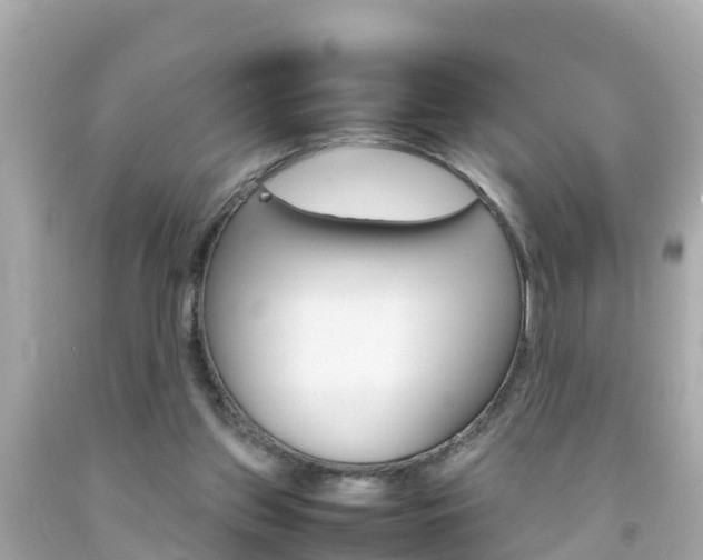 X0000092050157200709121032