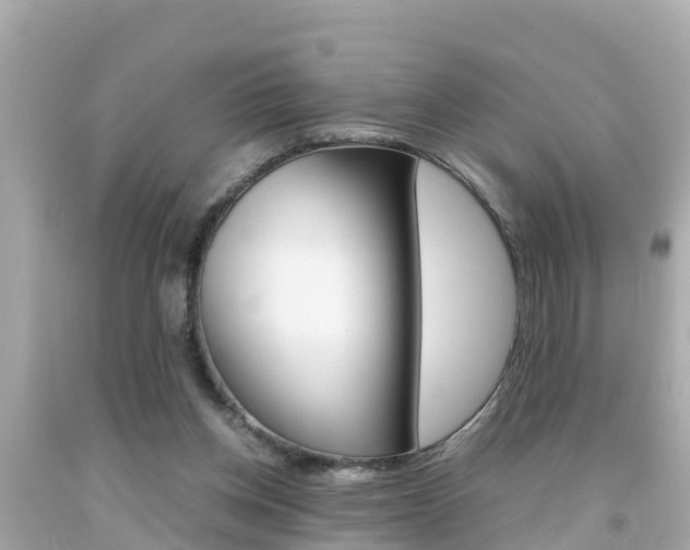 X0000092050158200709121032