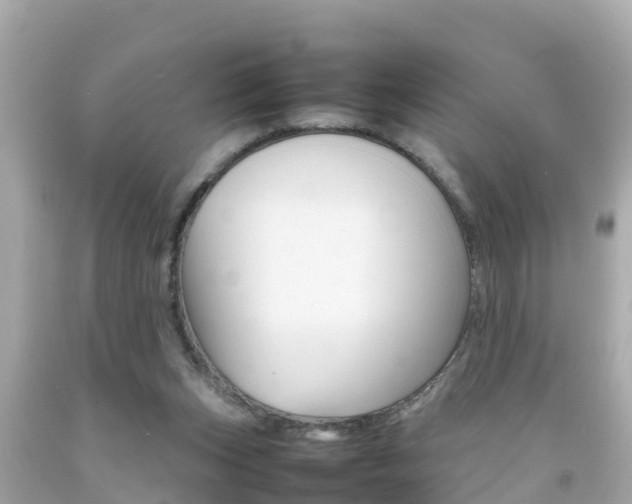 X0000092050159200709121032